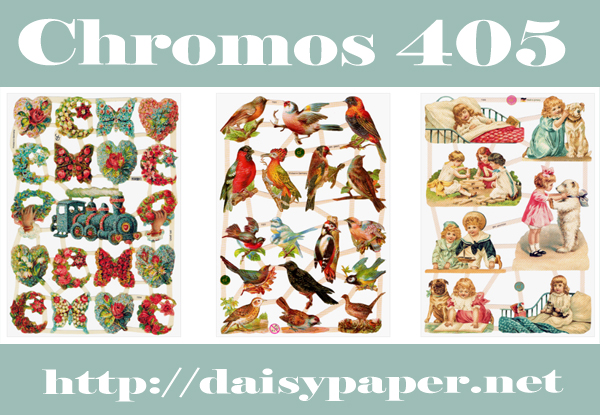 ドイツ製 クロモス【DAISY】CHROMOS、chromos、グランツビルダー、ドイツ、Germany、汽車、蝶、野鳥、キツツキ、小鳥、バラ、白くま、テディベア