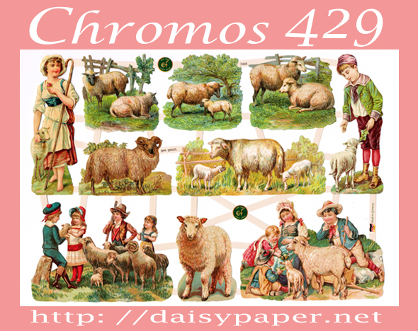 ドイツ製 クロモス【DAISY】CHROMOS、chromos、グランツビルダー、ドイツ、Germany、デコパージュ、羊、ひつじ