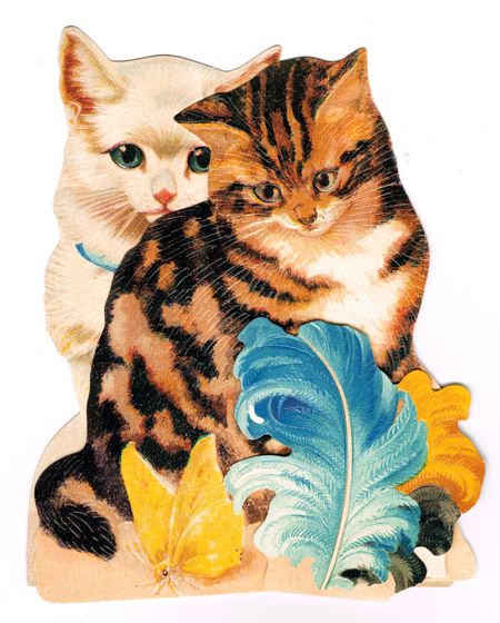 イギリス製 立体グリーティングカード　猫と花かご