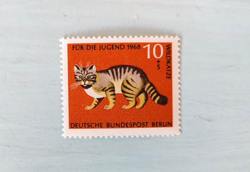 猫ネコCATS！コラージュ6点セット【Germany】【England】【U.S.A.】ヴィンテージ、紙物、味紙